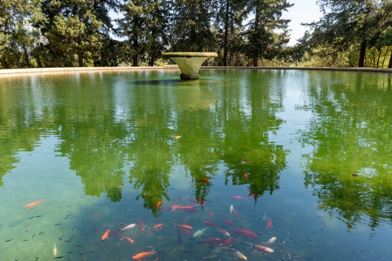 Manos Going | Rhodes Island Private Tours | Eleousa Fountain